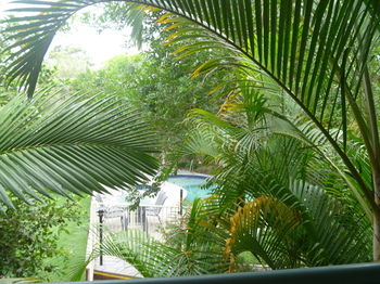 Chez Noosa Resort Motel - Accommodation Search 29