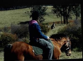 Hill Top Country Guest House - Accommodation Search 4