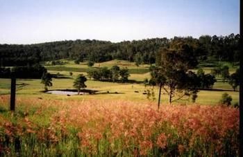 Hill Top Country Guest House - Accommodation Search 10