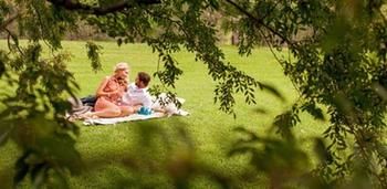 Spicers Vineyards Estate - Accommodation Search 4