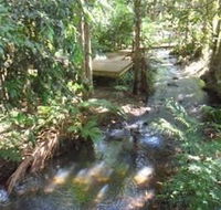 Treetops Accommodation Montville - Accommodation Search