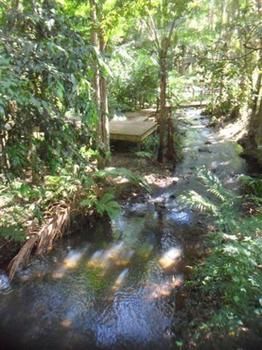 Treetops Accommodation Montville - Accommodation Search 0