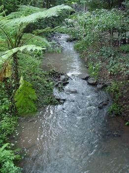 Treetops Accommodation Montville - Accommodation Search 4
