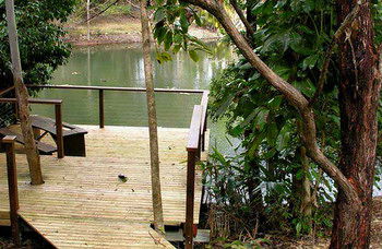 Treetops Accommodation Montville - Accommodation Search 8
