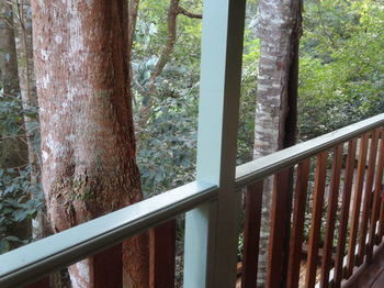 Treetops Accommodation Montville - Accommodation Search 9