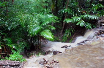 Treetops Accommodation Montville - Accommodation Search 11