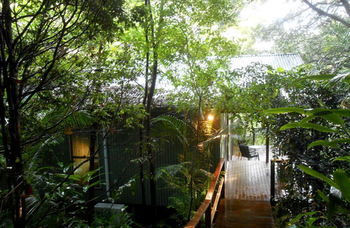 Treetops Accommodation Montville - Accommodation Search 12