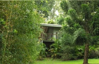 Treetops Accommodation Montville - Accommodation Search 13