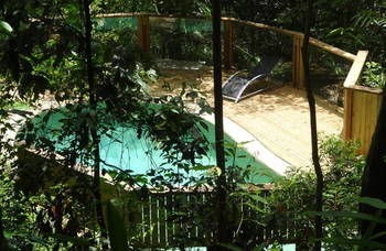Treetops Accommodation Montville - Accommodation Search 16