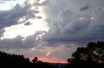Treetops Accommodation Montville - Accommodation Search 26