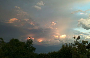Treetops Accommodation Montville - Accommodation Search 27