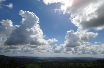 Treetops Accommodation Montville - Accommodation Search 28