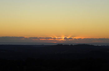Treetops Accommodation Montville - Accommodation Search 29