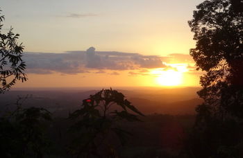 Treetops Accommodation Montville - Accommodation Search 30