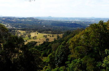 Treetops Accommodation Montville - Accommodation Search 31