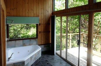 Treetops Accommodation Montville - Accommodation Search 36