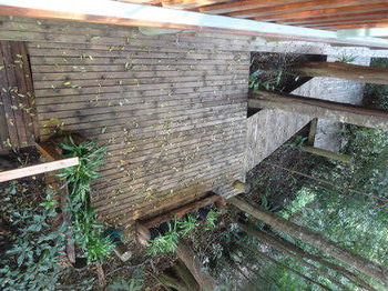 Treetops Accommodation Montville - Accommodation Search 53