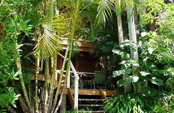 Treetops Accommodation Montville - Accommodation Search 54
