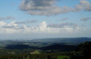 Treetops Accommodation Montville - Accommodation Search 63