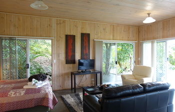 Treetops Accommodation Montville - Accommodation Search 64