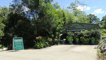 Treetops Accommodation Montville - Accommodation Search 67