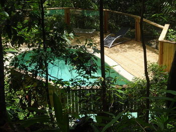 Treetops Accommodation Montville - Accommodation Search 74