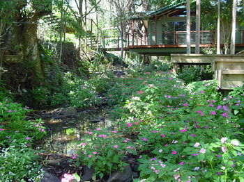 Treetops Accommodation Montville - Accommodation Search 76
