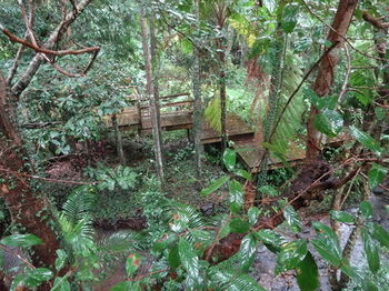 Treetops Accommodation Montville - Accommodation Search 80