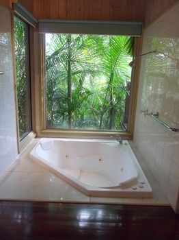 Treetops Accommodation Montville - Accommodation Search 84