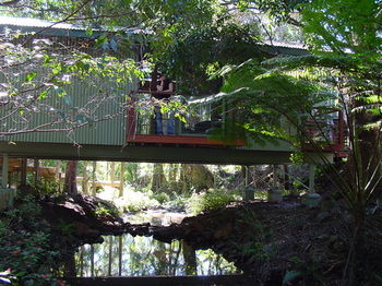 Treetops Accommodation Montville - Accommodation Search 87
