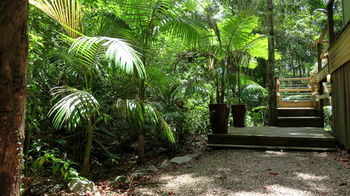 Treetops Accommodation Montville - Accommodation Search 89