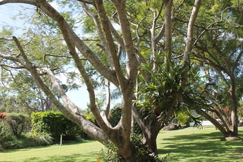 Buderim Fiesta Motel - Accommodation Search 19