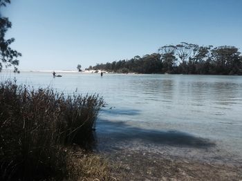 Huskisson Beach Bed And Breakfast - Accommodation Search 1