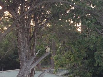Huskisson Beach Bed And Breakfast - Accommodation Search 7