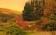 Lyrebird Cottage - thumb 3