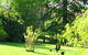 Lyrebird Cottage - thumb 5