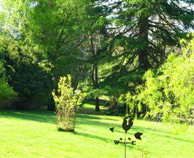 Lyrebird Cottage - Accommodation Search 5