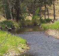 Murphy's Cabin - Accommodation Search