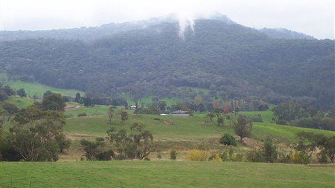 Murphy's Cabin - Accommodation Search 1