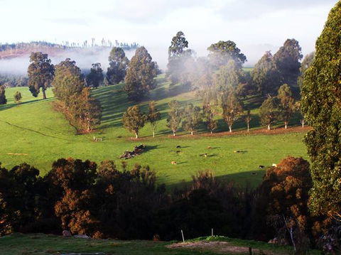 Balingup Vista Chalets - Accommodation Search 4