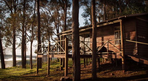 Balingup Heights Hilltop Forest Cottages - Accommodation Search 6