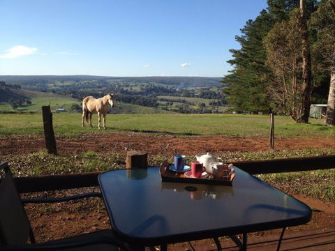 Balingup Heights Hilltop Forest Cottages - Accommodation Search 7