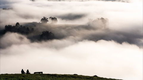 Balingup Heights Hilltop Forest Cottages - Accommodation Search 9