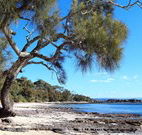 Currarong Beachside Holiday Park - Accommodation Search