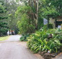 Tamborine Mountain Caravan  Camping - Accommodation Search