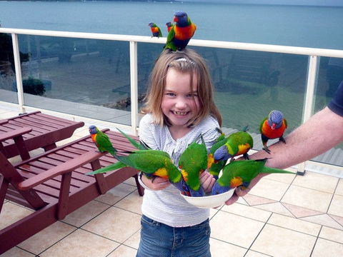 The Mitchells Waterfront Bed & Breakfast - Accommodation Search 3