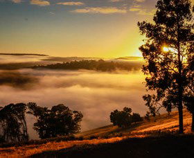 Balingup Heights Hilltop Forest Cottages - Accommodation Search 1