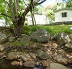 Mt Warning Rainforest Park - Accommodation Search