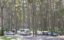 Mystery Bay Camping Area - Accommodation Search 0