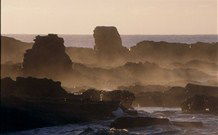 Mystery Bay Camping Area - Accommodation Search 3